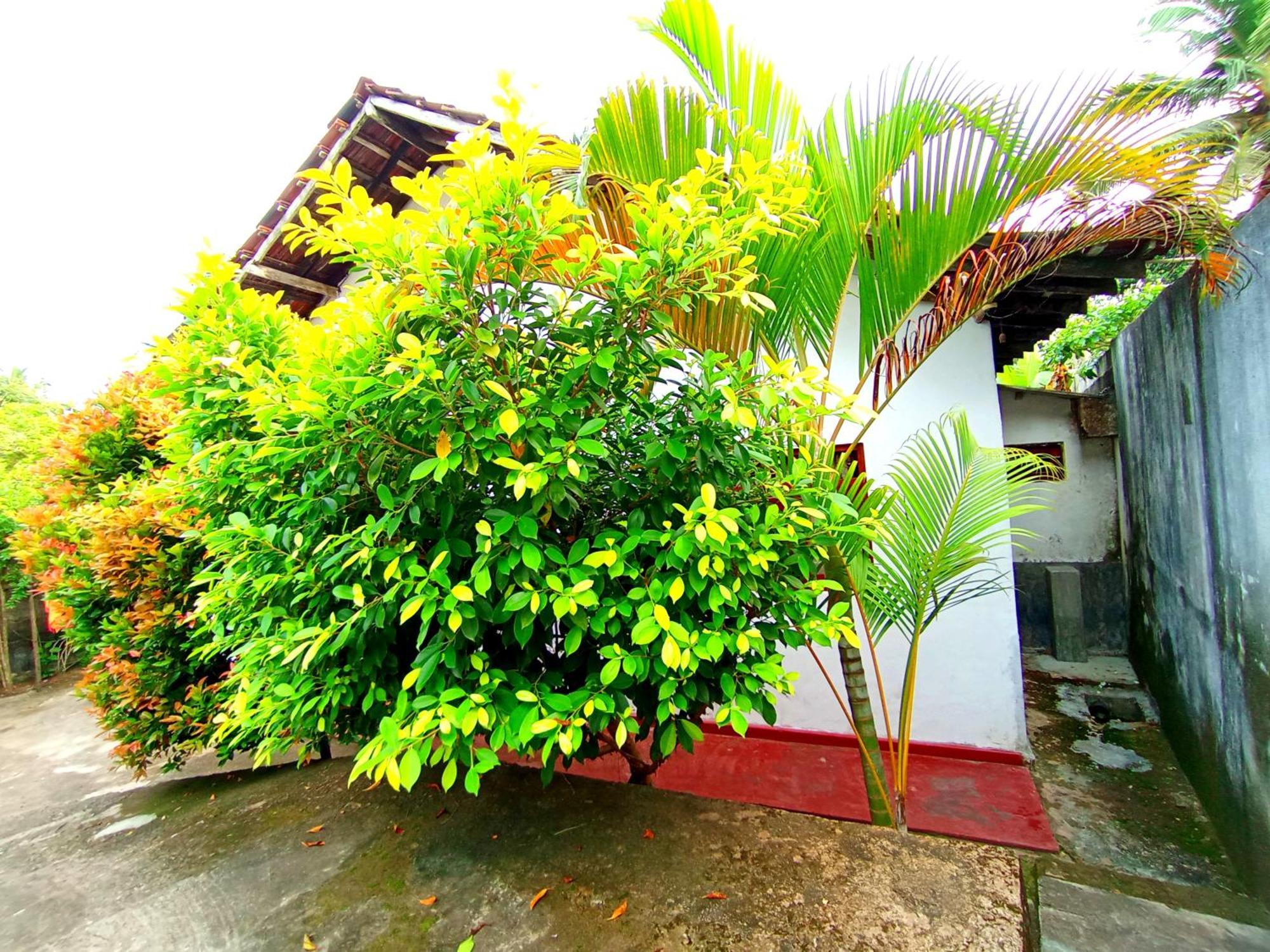 Sisara Sun Hill Hotel Mirissa Ngoại thất bức ảnh